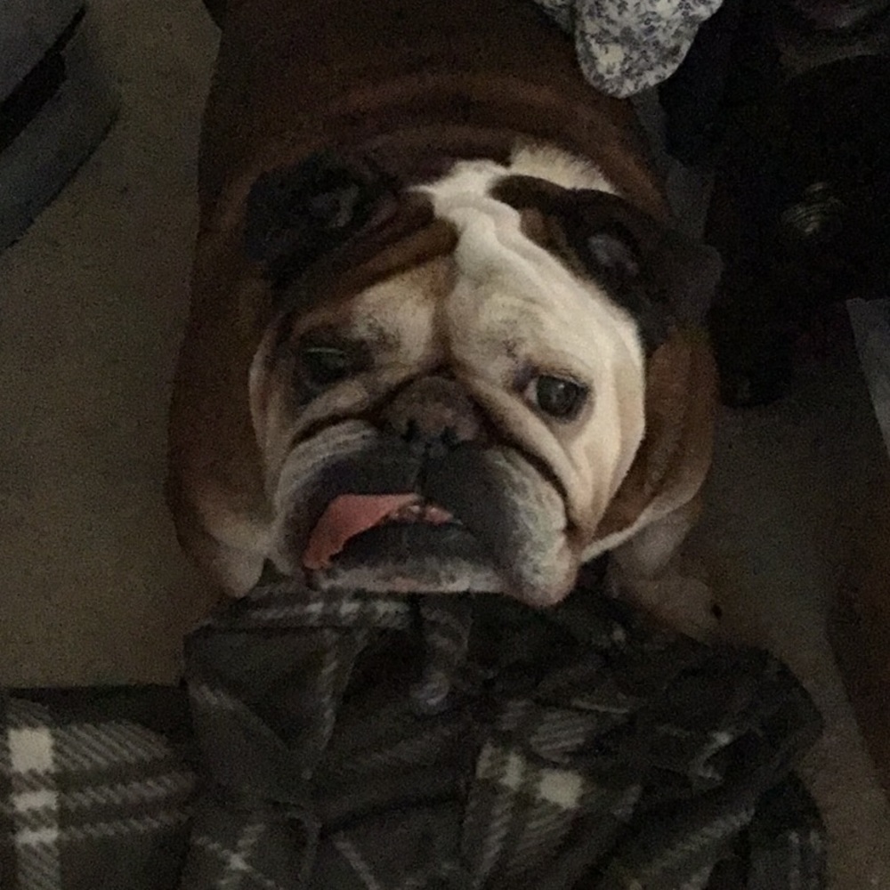 Meet your Posher, Mikki